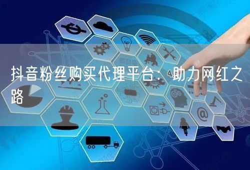 抖音粉丝购买代理平台：助力网红之路