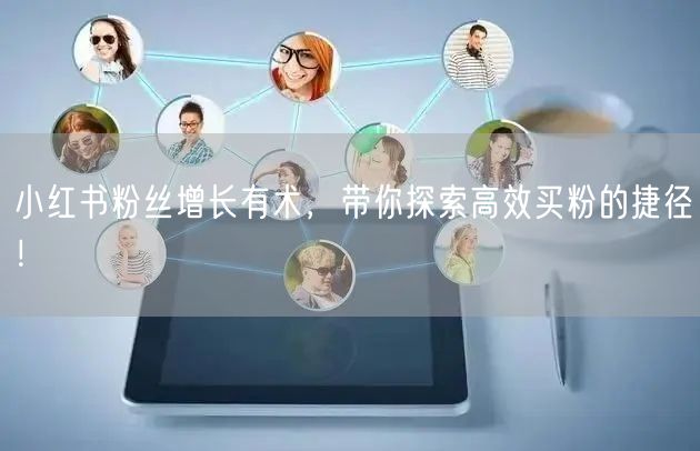 小红书粉丝增长有术，带你探索高效买粉的捷径！