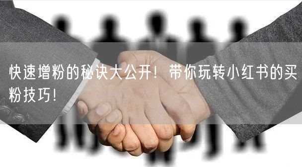 快速增粉的秘诀大公开！带你玩转小红书的买粉技巧！