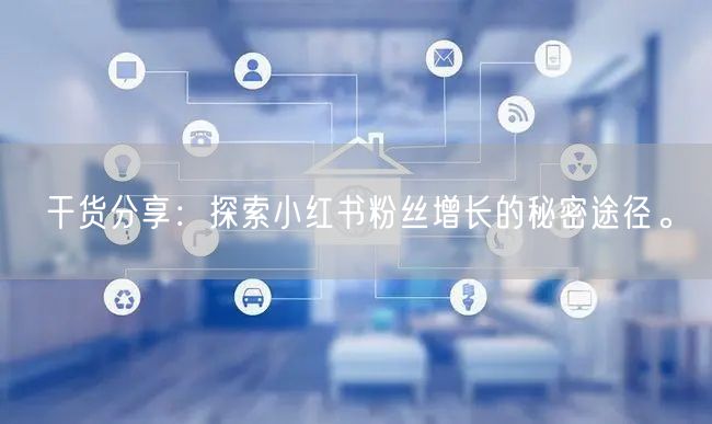 干货分享：探索小红书粉丝增长的秘密途径。