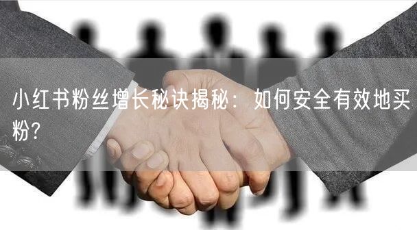 小红书粉丝增长秘诀揭秘：如何安全有效地买粉?