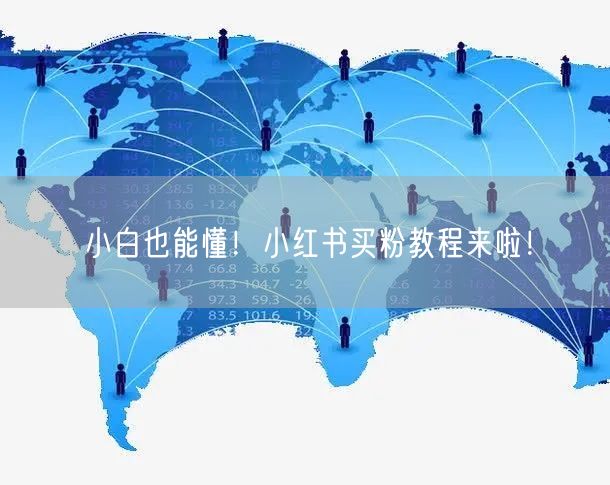 小白也能懂！小红书买粉教程来啦！