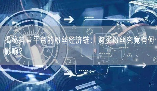 揭秘抖音平台的粉丝经济链：购买粉丝究竟有何影响？