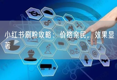 小红书刷粉攻略：价格亲民，效果显著