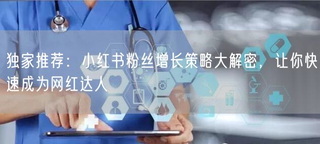独家推荐：小红书粉丝增长策略大解密，让你快速成为网红达人