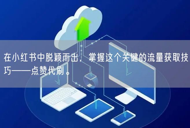 在小红书中脱颖而出，掌握这个关键的流量获取技巧——点赞代刷。