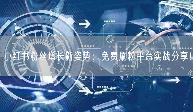 小红书粉丝增长新姿势：免费刷粉平台实战分享！