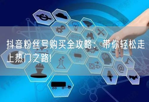 抖音粉丝号购买全攻略：带你轻松走上热门之路!