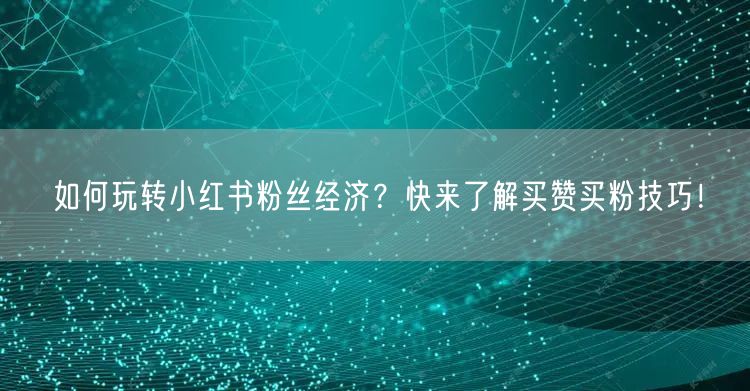 如何玩转小红书粉丝经济？快来了解买赞买粉技巧！