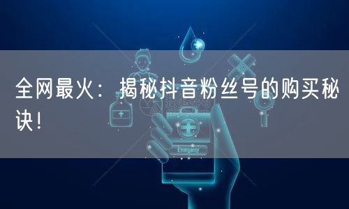 全网最火：揭秘抖音粉丝号的购买秘诀！