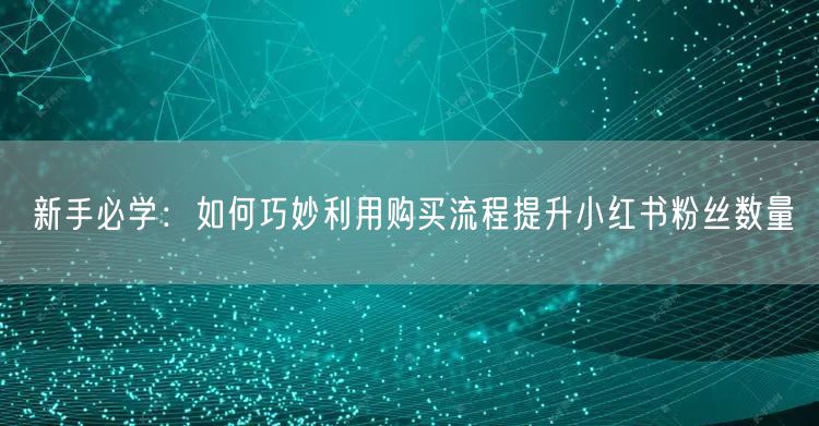 新手必学：如何巧妙利用购买流程提升小红书粉丝数量