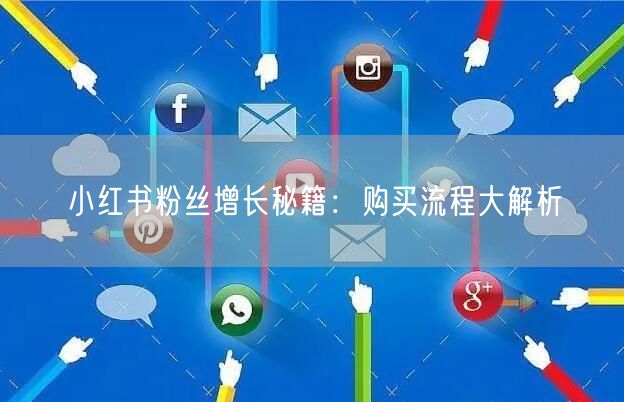 小红书粉丝增长秘籍：购买流程大解析