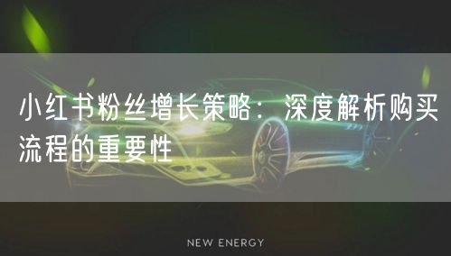 小红书粉丝增长策略：深度解析购买流程的重要性