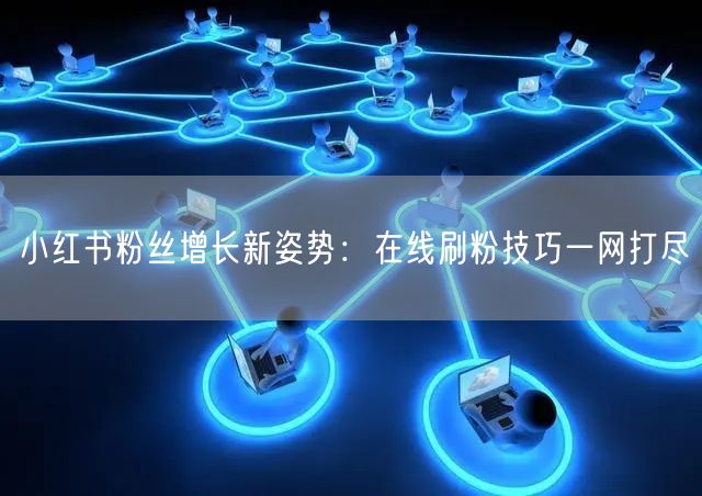 小红书粉丝增长新姿势：在线刷粉技巧一网打尽