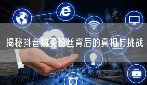 揭秘抖音购买粉丝背后的真相与挑战
