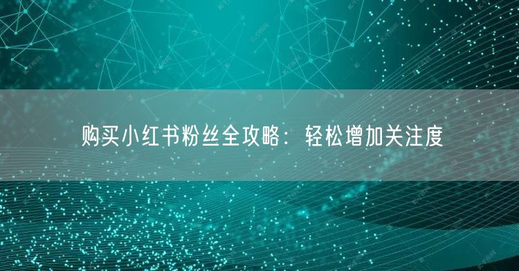 购买小红书粉丝全攻略：轻松增加关注度
