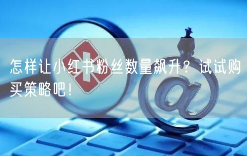 怎样让小红书粉丝数量飙升？试试购买策略吧！