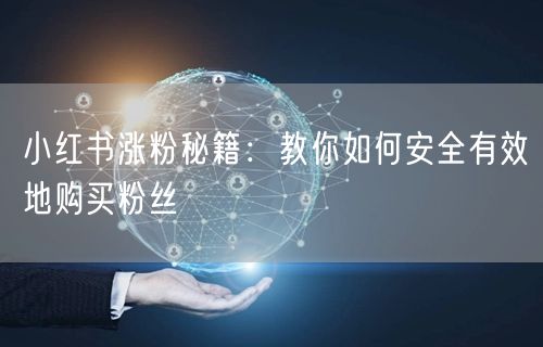 小红书涨粉秘籍：教你如何安全有效地购买粉丝