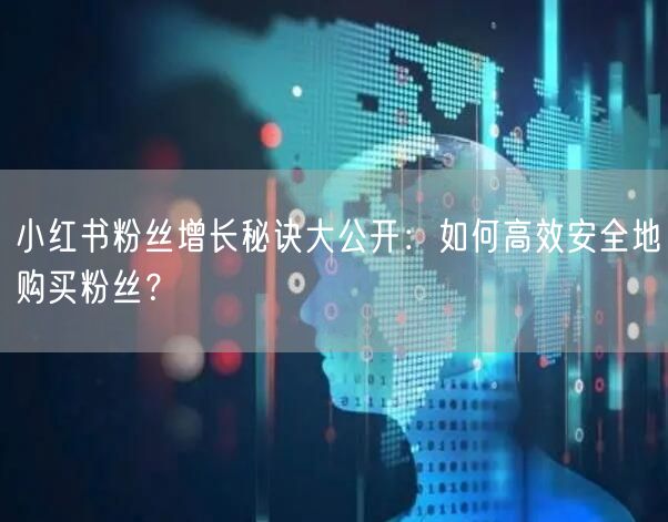 小红书粉丝增长秘诀大公开：如何高效安全地购买粉丝？
