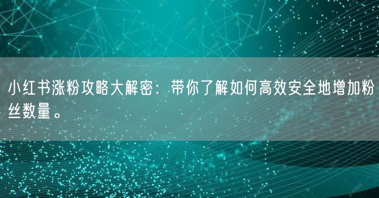 小红书涨粉攻略大解密：带你了解如何高效安全地增加粉丝数量。