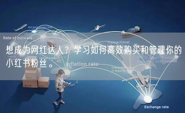 想成为网红达人？学习如何高效购买和管理你的小红书粉丝。