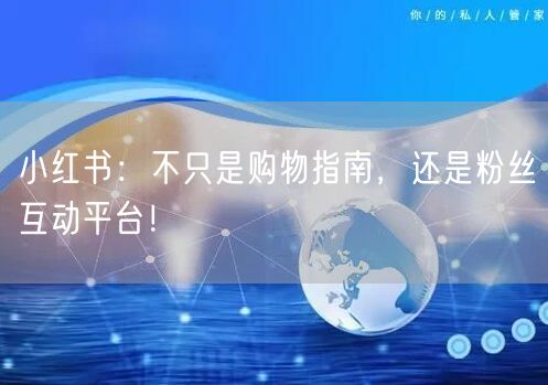 小红书：不只是购物指南，还是粉丝互动平台！