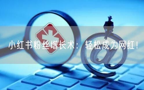 小红书粉丝增长术：轻松成为网红！