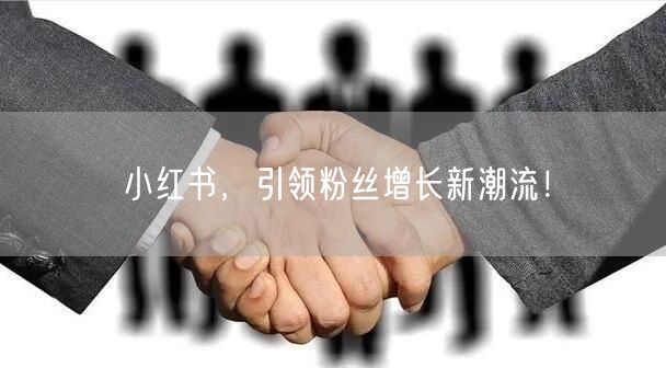小红书，引领粉丝增长新潮流！