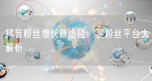 抖音粉丝增长新途径：买粉丝平台大解析