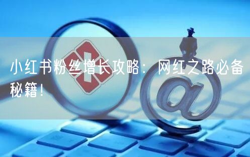 小红书粉丝增长攻略：网红之路必备秘籍！