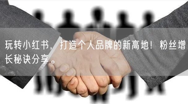 玩转小红书，打造个人品牌的新高地！粉丝增长秘诀分享。