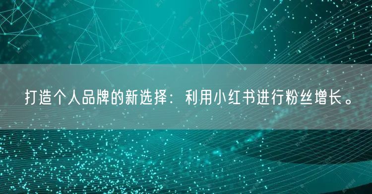 打造个人品牌的新选择：利用小红书进行粉丝增长。