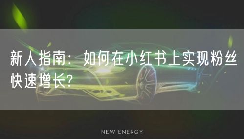 新人指南：如何在小红书上实现粉丝快速增长?