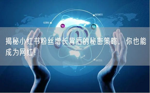 揭秘小红书粉丝增长背后的秘密策略，你也能成为网红！