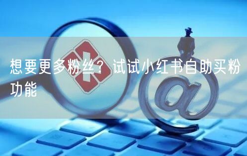 想要更多粉丝？试试小红书自助买粉功能