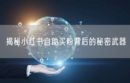 揭秘小红书自助买粉背后的秘密武器