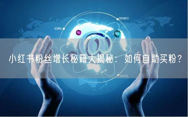 小红书粉丝增长秘籍大揭秘：如何自助买粉？