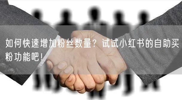 如何快速增加粉丝数量？试试小红书的自助买粉功能吧！