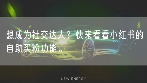 想成为社交达人？快来看看小红书的自助买粉功能。