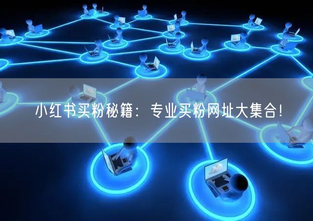 小红书买粉秘籍：专业买粉网址大集合！