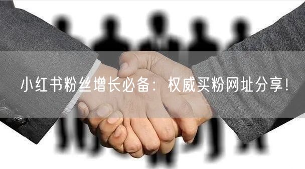 小红书粉丝增长必备：权威买粉网址分享！