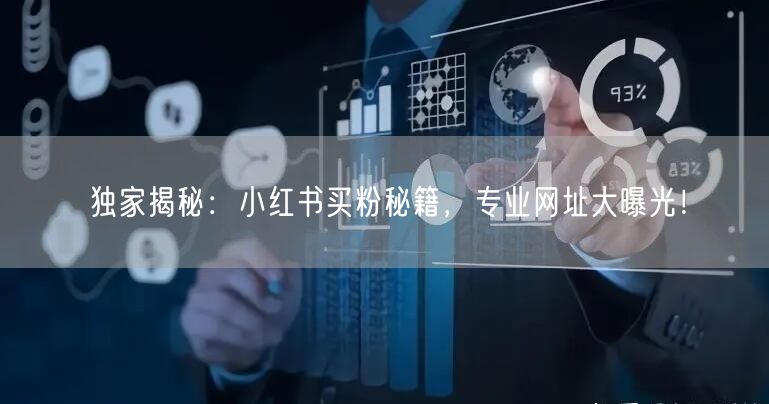 独家揭秘：小红书买粉秘籍，专业网址大曝光！
