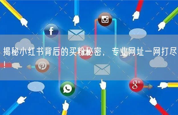 揭秘小红书背后的买粉秘密，专业网址一网打尽！