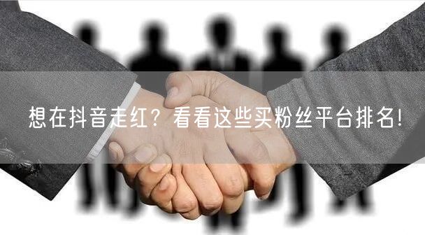 想在抖音走红？看看这些买粉丝平台排名！