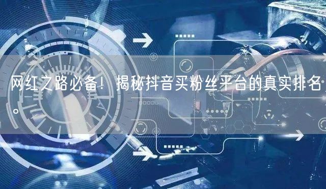 网红之路必备！揭秘抖音买粉丝平台的真实排名。