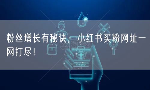 粉丝增长有秘诀，小红书买粉网址一网打尽！