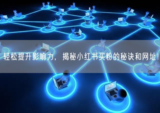 轻松提升影响力，揭秘小红书买粉的秘诀和网址！