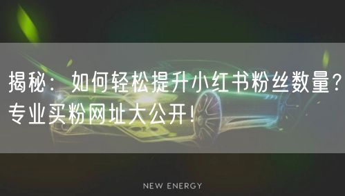 揭秘：如何轻松提升小红书粉丝数量？专业买粉网址大公开！